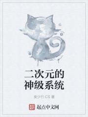 系统 二次元
