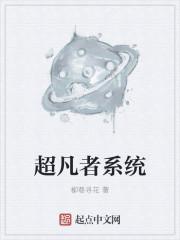 超凡系统整合体