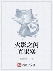 火影之最强烧烧果实