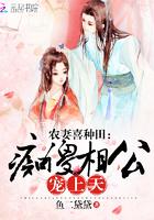 农门辣妻之痴傻相公追妻忙 竹香梅影