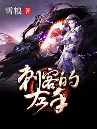 刺客解释