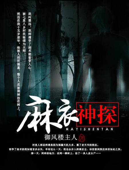 麻衣神探免费观看完整版