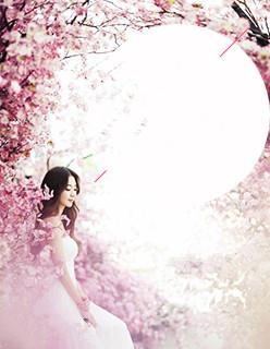 缚爱成婚苏晚