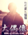 大偶像全集免费观看