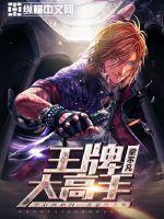 王牌大高手全文在线阅读