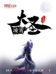 凌霄大乘技能组合实战例子