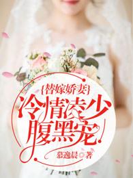 替嫁娇妻冷慕辰免费阅读