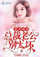 只想认真喜欢你!作者雪如歌