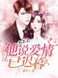 他说爱情已迟暮大结局是什么