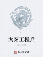 大秦工程兵 顶点