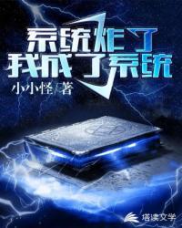 系统炸了我成系统了