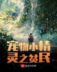宠物小精灵之我是平民训练家