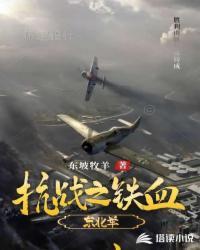 抗战之铁血东北少帅