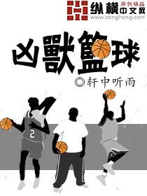 凶兽篮球里面华为