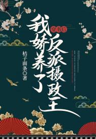 我娇养了反派摄政王短剧合集