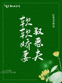 软软娇妻驭恶夫相似的古言文