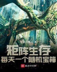 矩阵生存每天一个随机宝箱119章完整