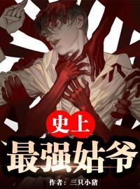无敌姑爷三只小猪女主角有几个