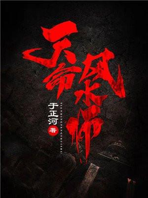 天命风水师陈启林免费阅读