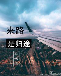 来路是归途75章截图