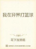 关于我在异界打游击那件事