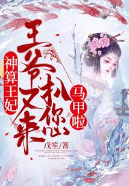 算神医妃王爷