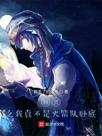 精灵之我真没想当训练家飞卢