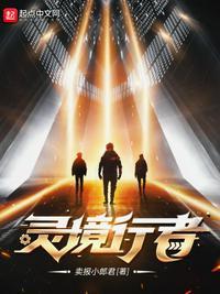 灵境行者张元清副本顺序是什么