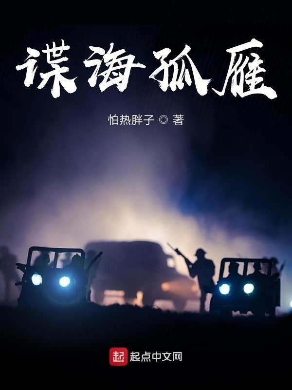 谍海孤雁TXT八零