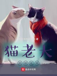 猫老大任务怎么刷出来
