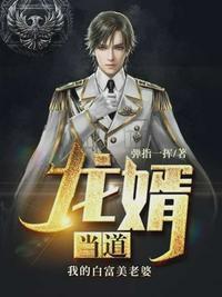 龙婿当道全文免费阅读