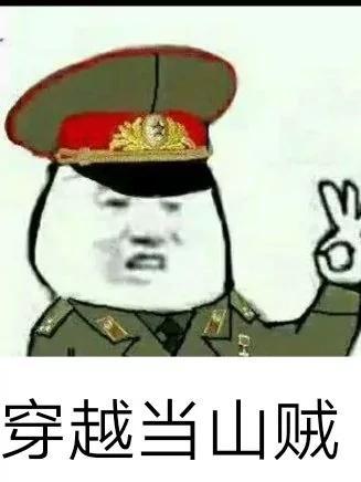 穿越当山贼建山寨