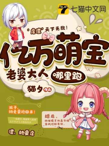一胎七宝老婆大人哪里跑全文免费阅读