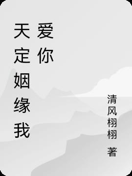 天定姻缘之老婆我爱你