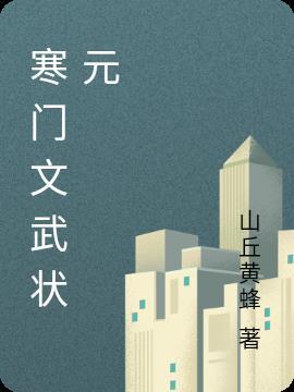 寒门状元100集合集
