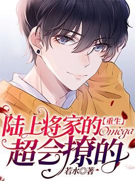 陆将军作品集