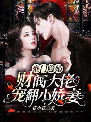 隐婚甜宠大财阀的小娇妻by 贺兰央央