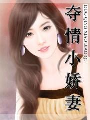 夺情小娇妻凌笑微