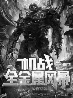 机战全金属风暴免费听书