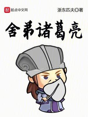 舍弟诸葛亮txt完结版