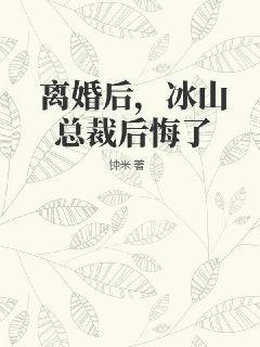 离婚后冰山总裁后悔了林凡