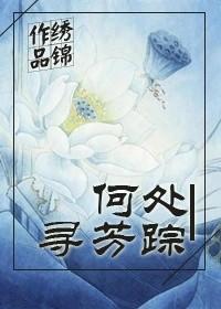 何处寻真相剧情解析