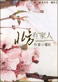 北方有佳人全集完整版连续剧