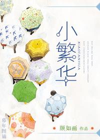 小繁华TXT奇书网