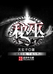 秘巫之主手打无错字版