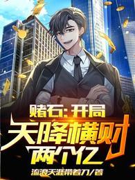 赌石开局天降横财两个亿最新章节起点