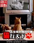 猫行天下 旅游