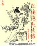 红楼炮灰攻略恋听