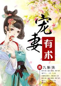 宠妻有术 九斛珠讲的什么