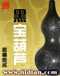 葫芦宝是什么意思
